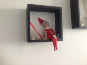 Pepe Elf on our Shelf